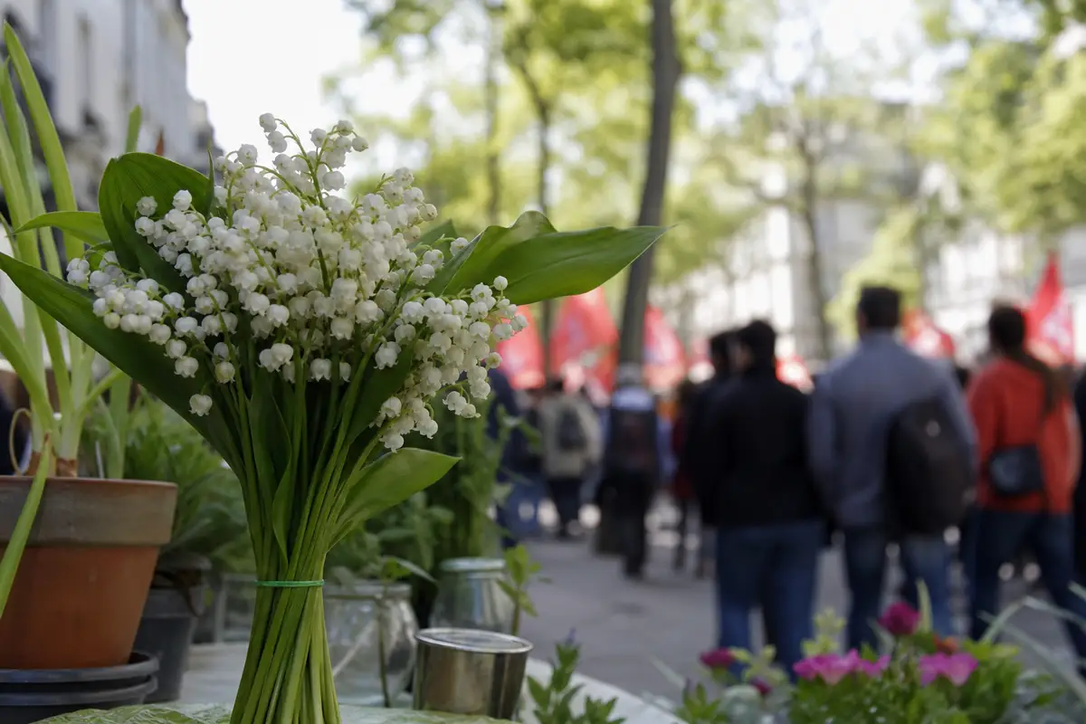 Bouquet de muguet au premier plan devant un rassemblement paisible du 1er mai dans une ville française