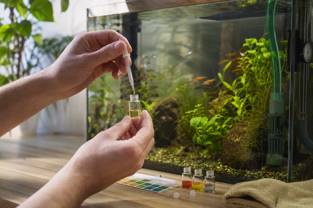 Tests en gouttes et filtre biologique devant un aquarium d’eau douce planté en cours de contrôle